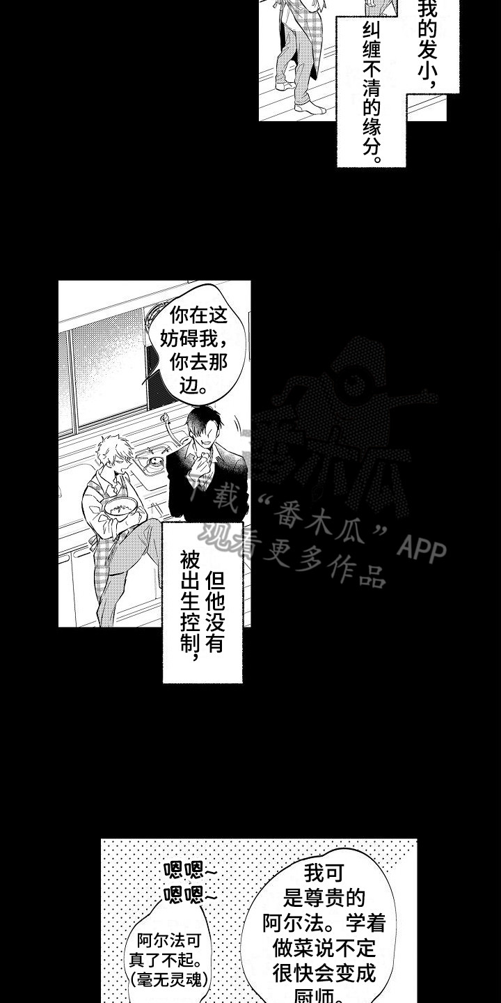 第13章：缘分6