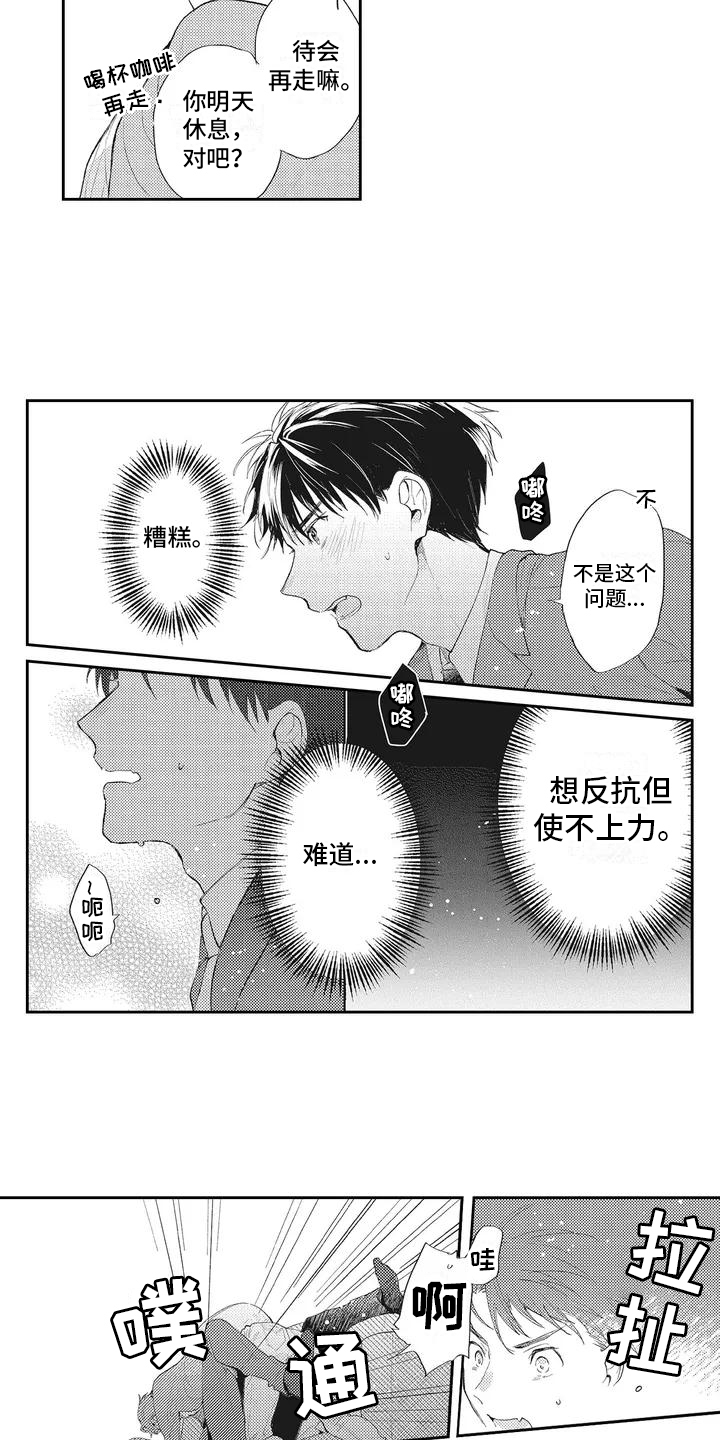 第3章：带回家8