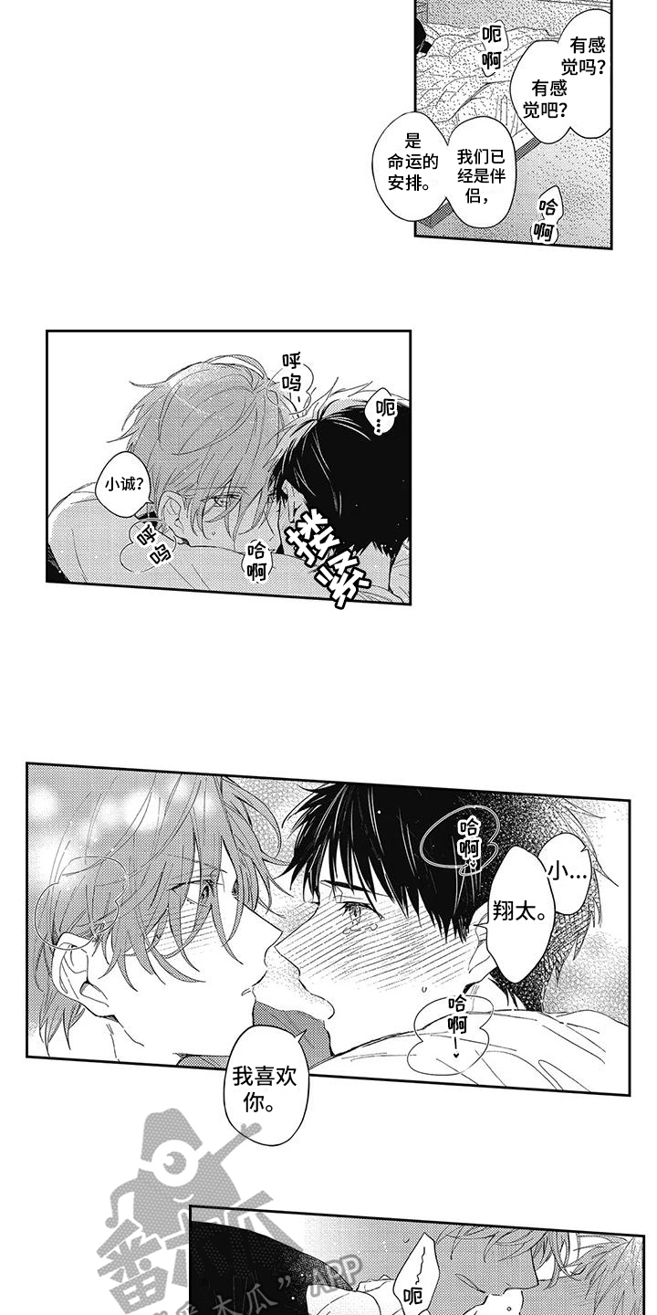 第17章：【番外】生病17