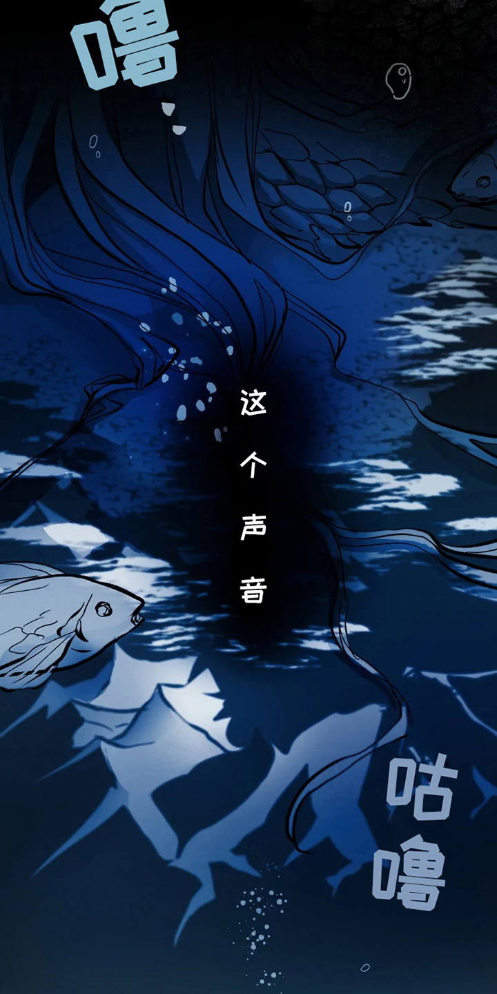 第3章：关注7