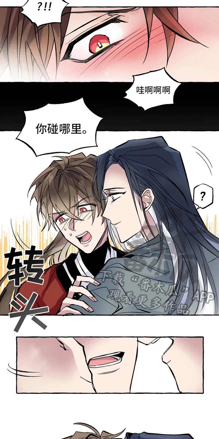 第6章：打扰4