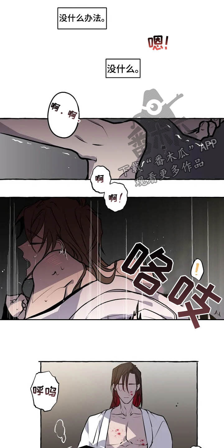 第32章：释放5
