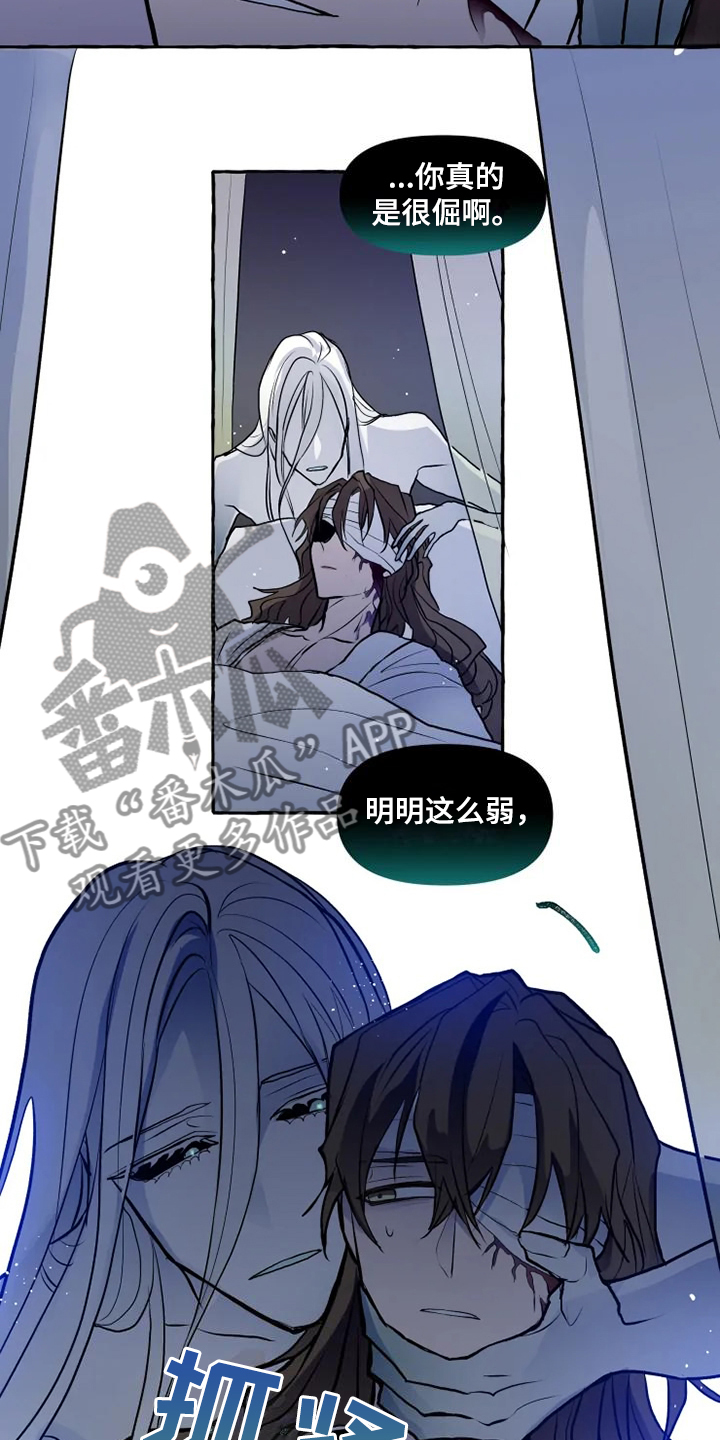 第47章：不可思议的力量5
