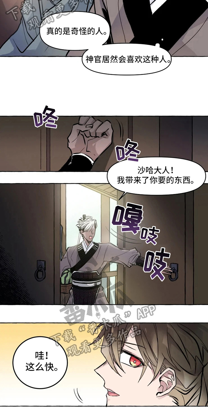 第5章：带路8