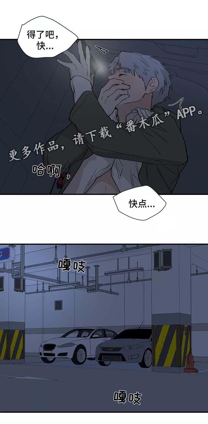 第28章：看雪11