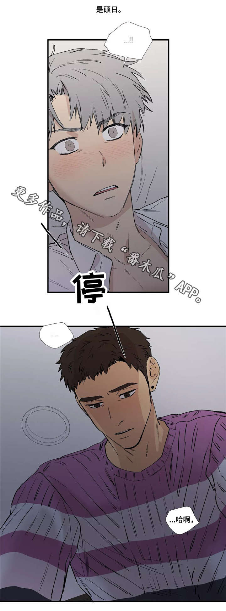 第17章：不要折磨我5