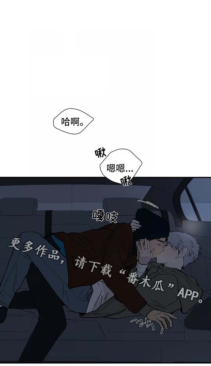 第28章：看雪9
