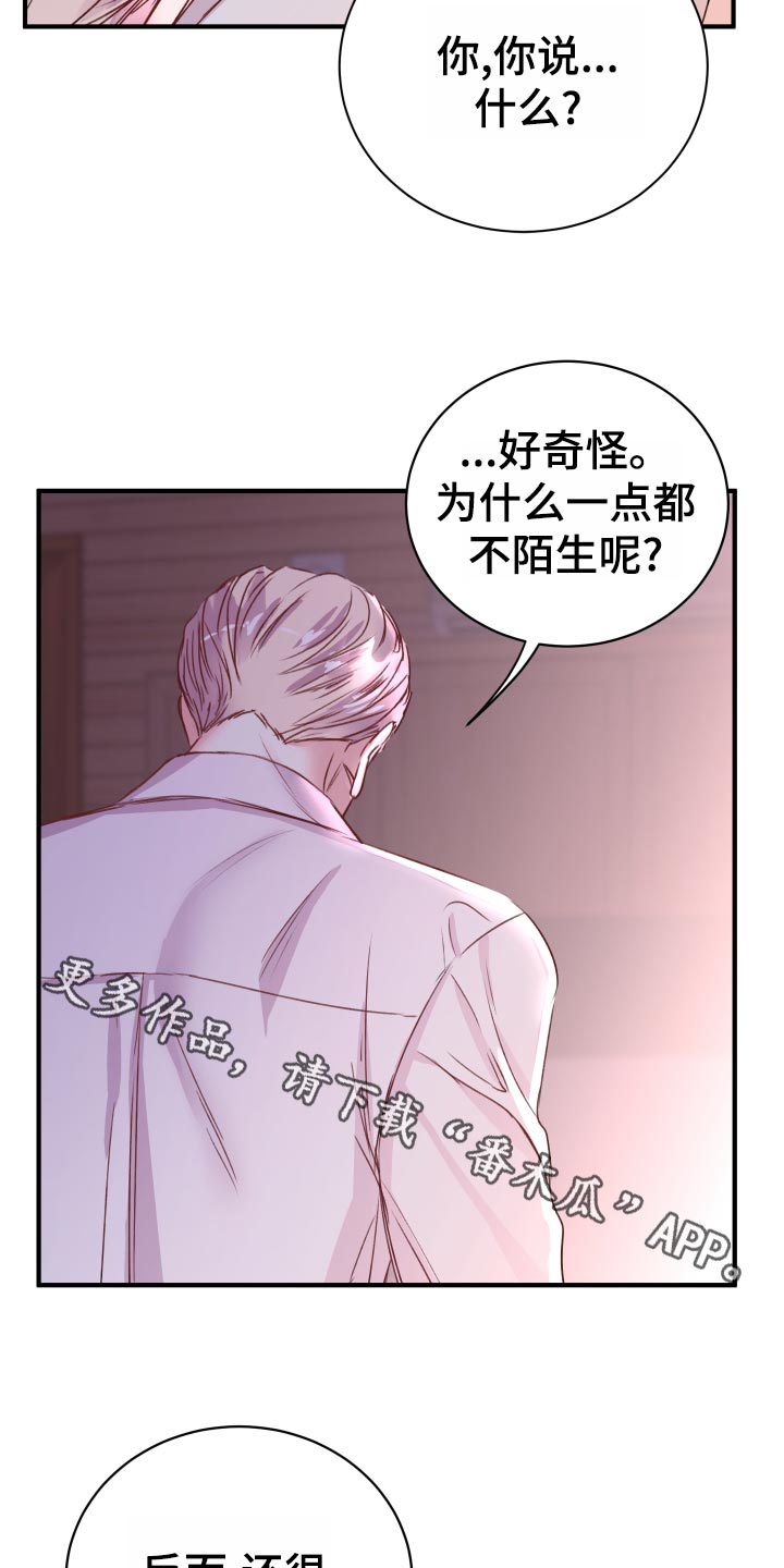 第21章：偷吻的惩罚6