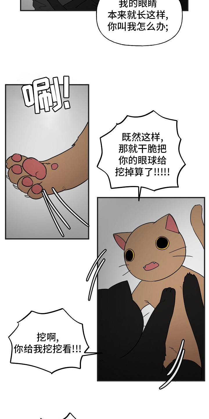 第39章：安抚13