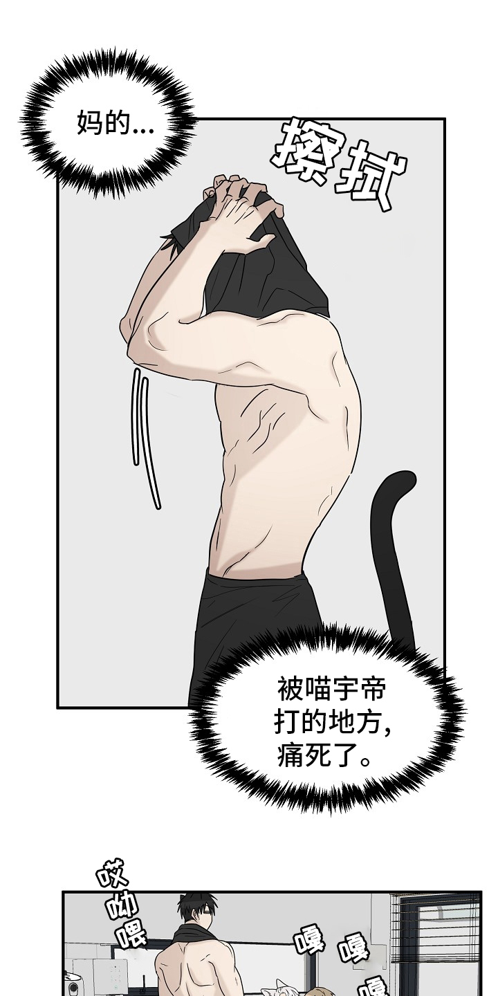 第40章：一起回家吧7