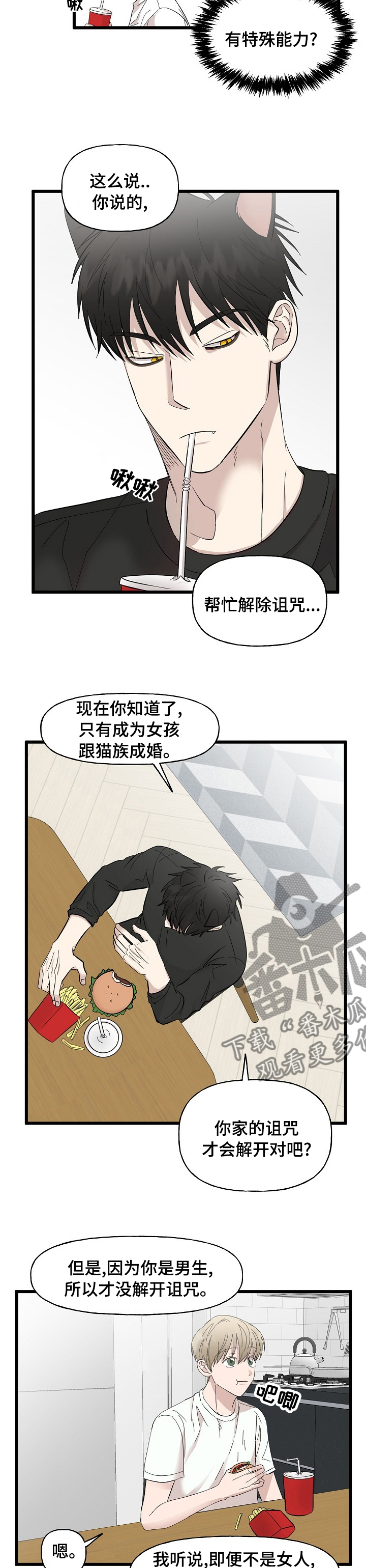 第29章：相册2