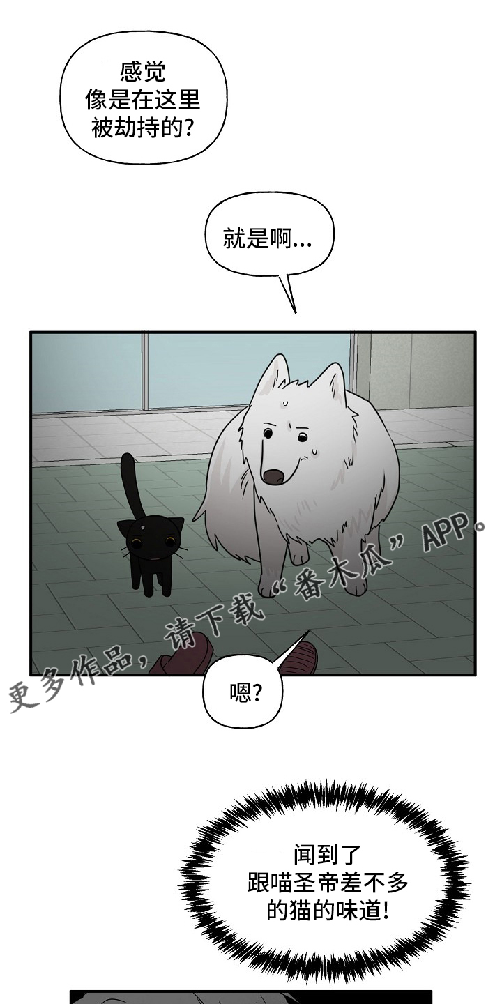 第37章：住手0