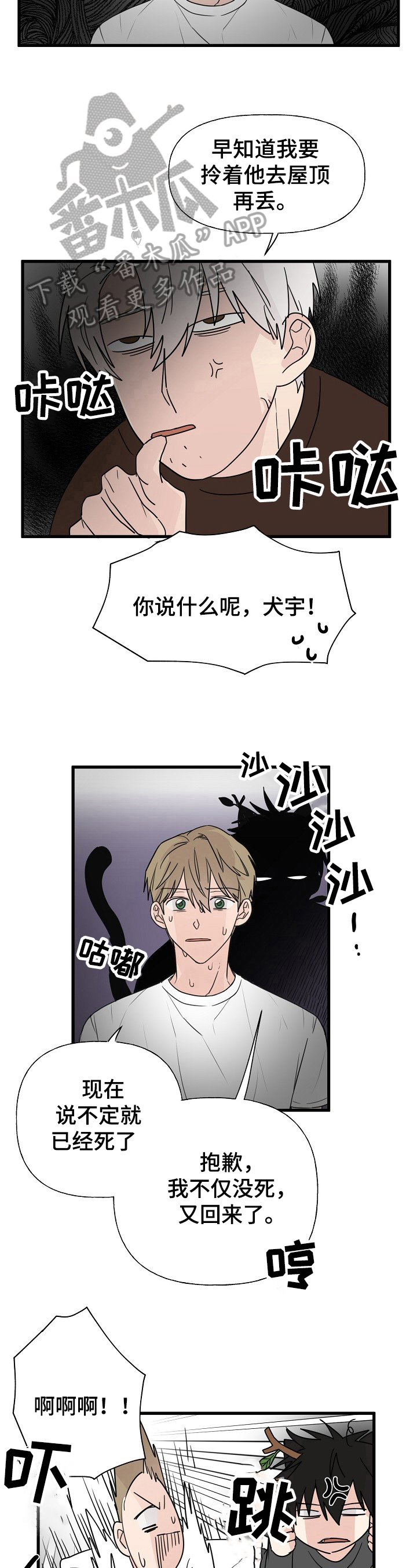 第11章：质问4