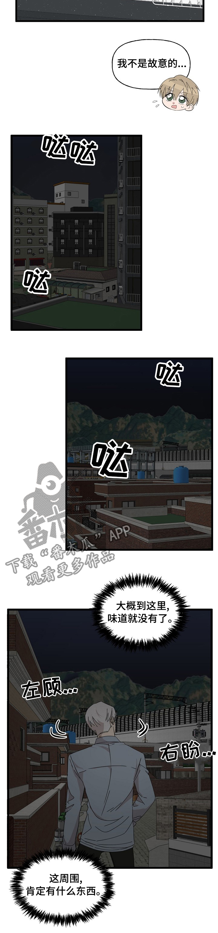 第29章：相册6