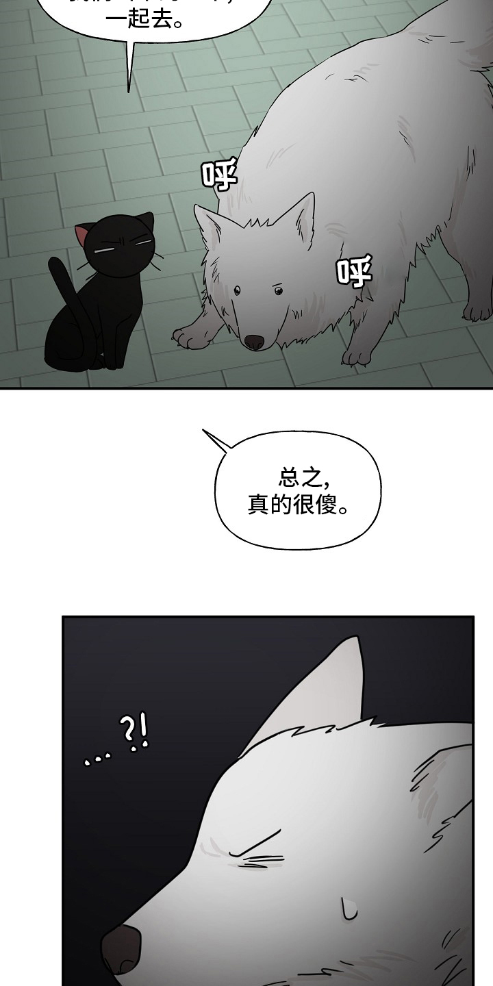 第36章：我来处理20