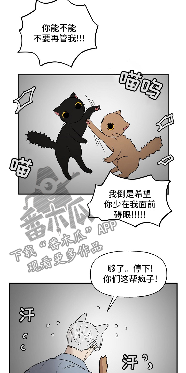 第39章：安抚14