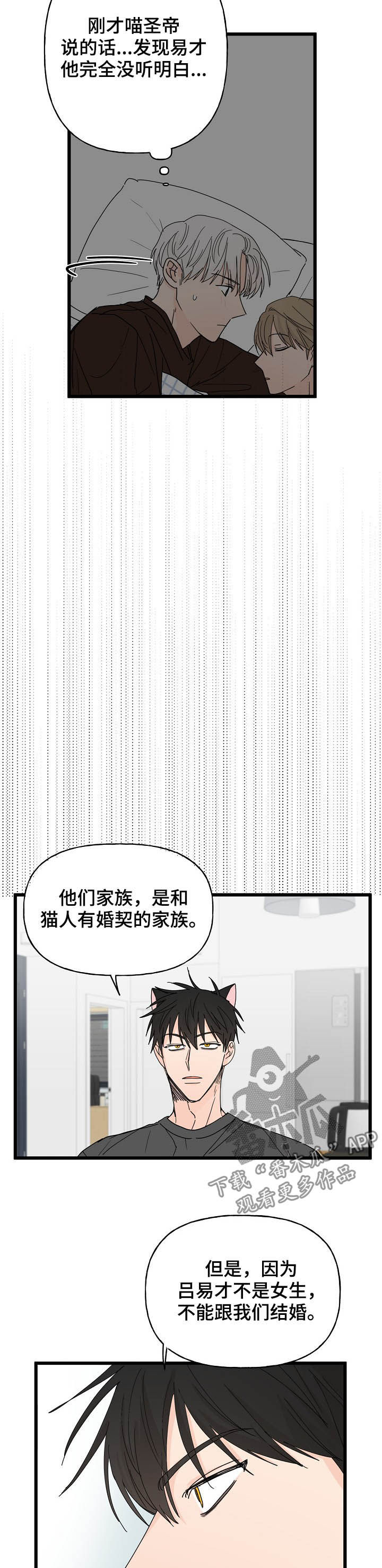 第13章：诅咒6