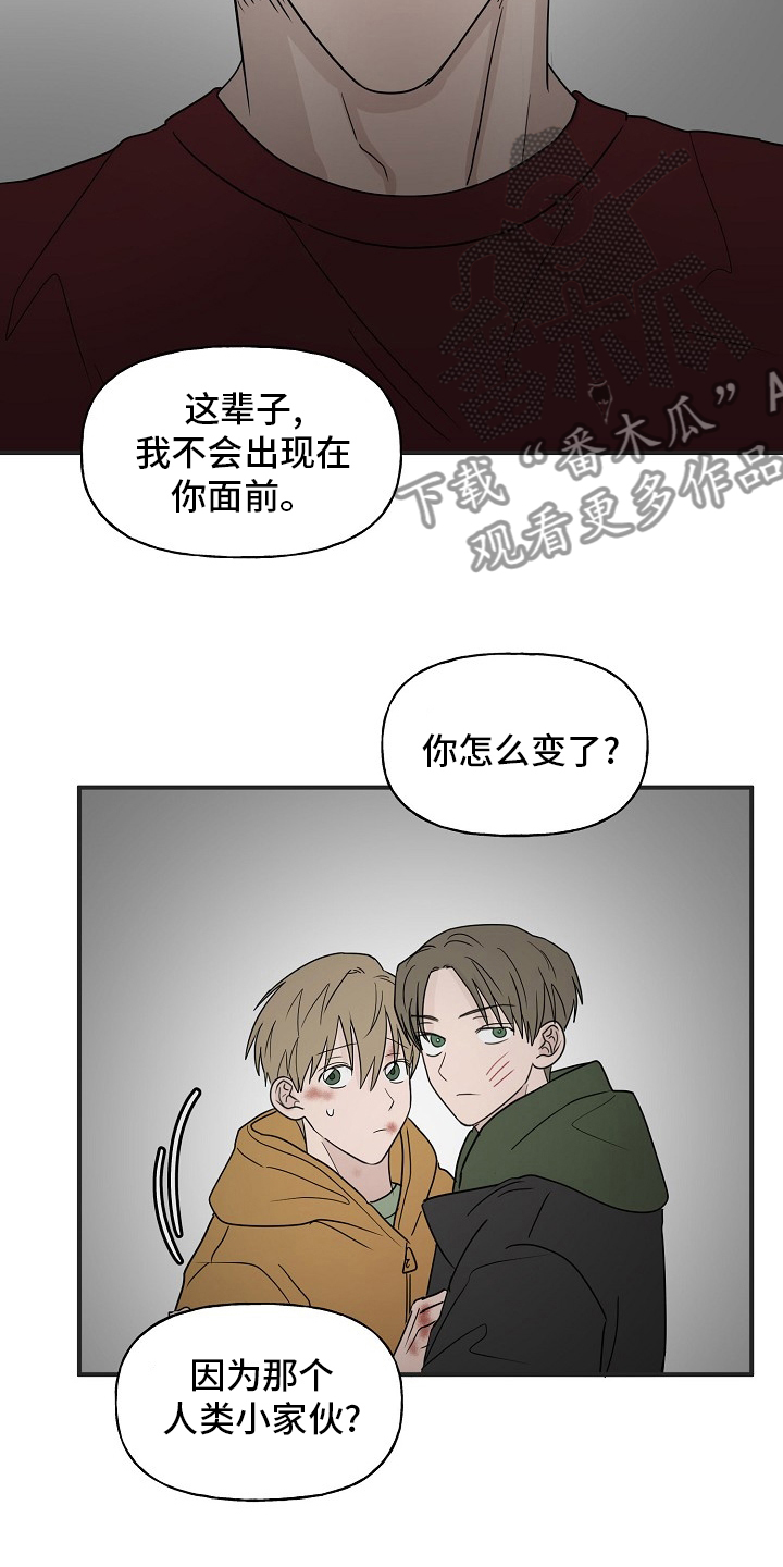 第39章：安抚10