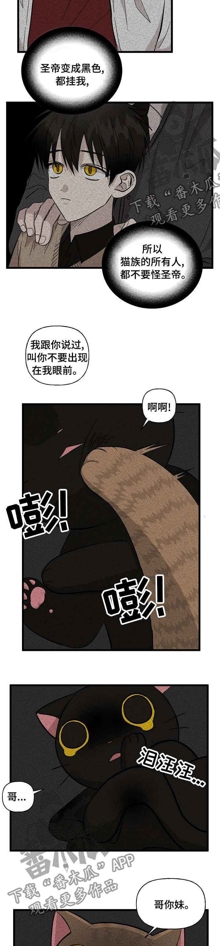 第28章：特别待遇6