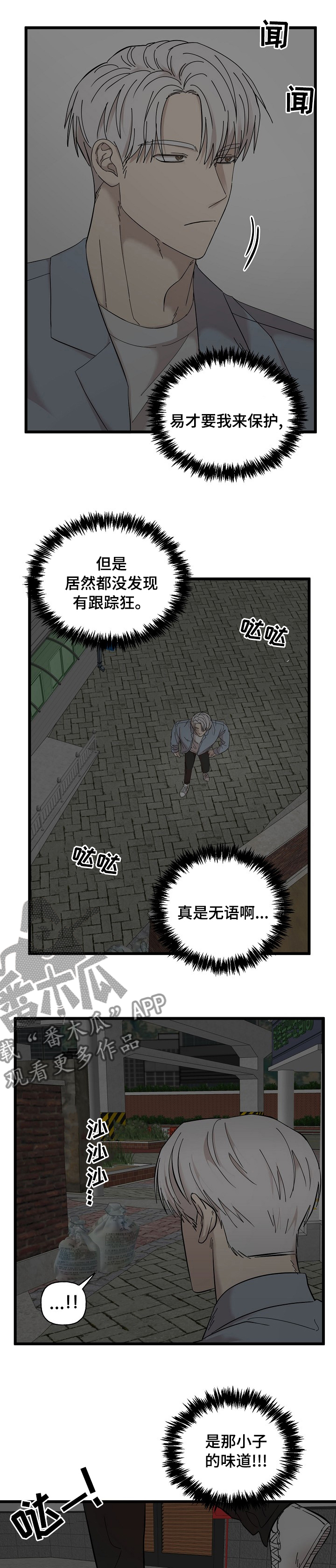 第29章：相册7
