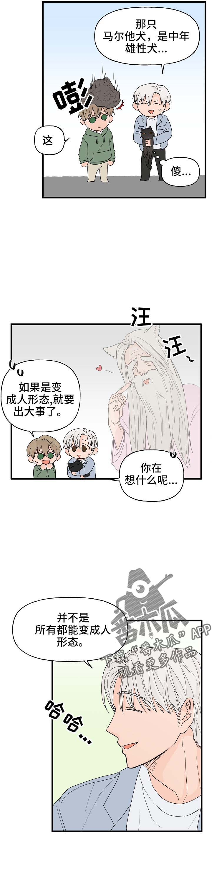 第15章：打击10
