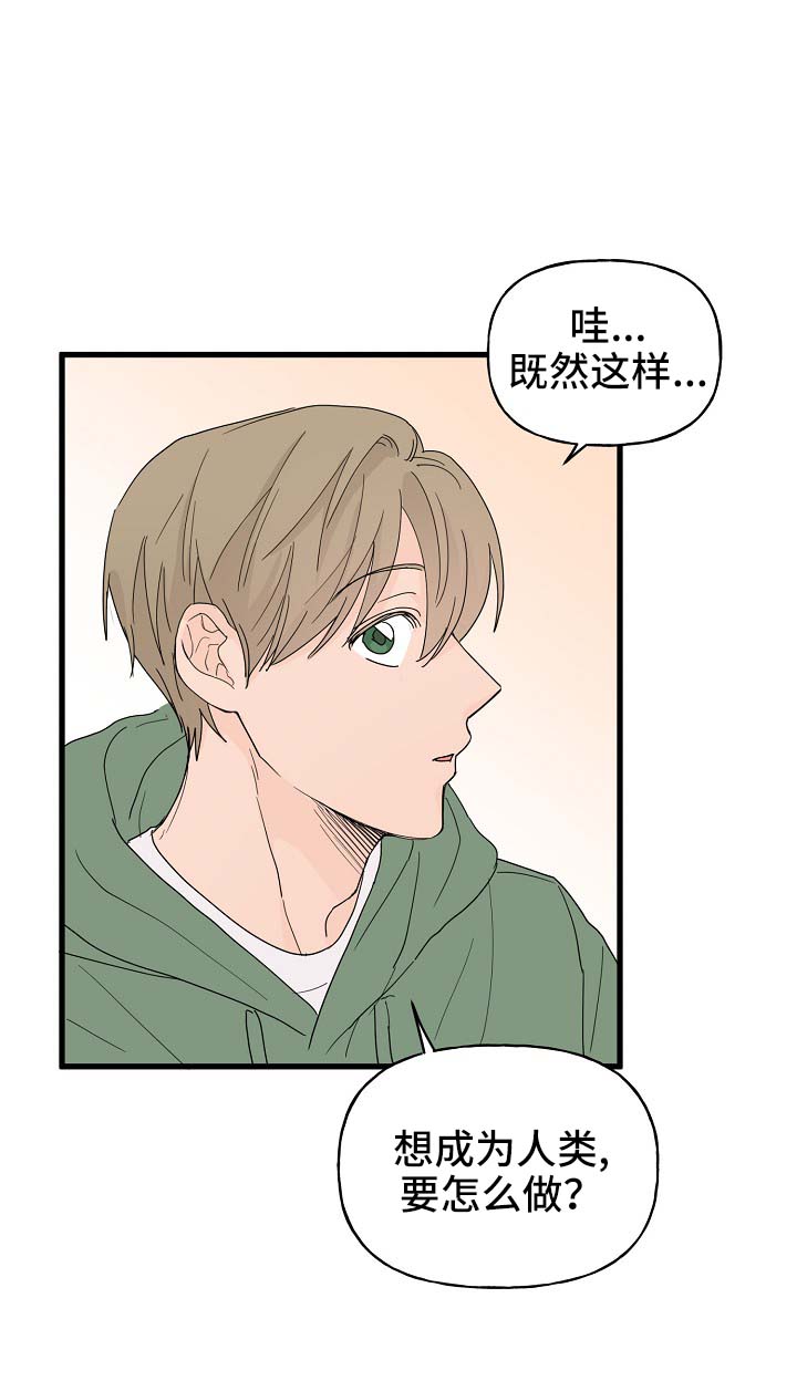 第15章：打击11
