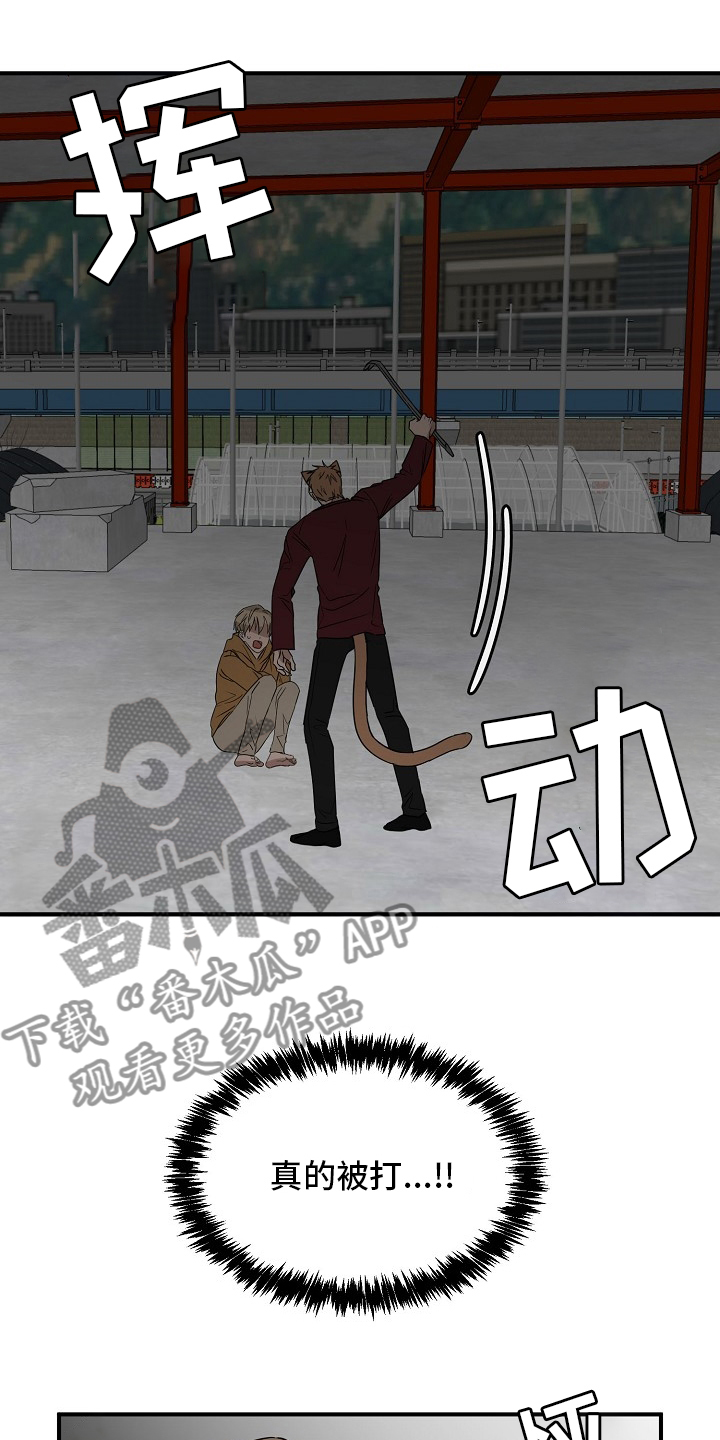 第37章：住手6