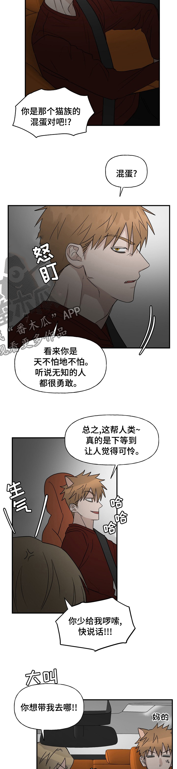 第34章：跟踪4
