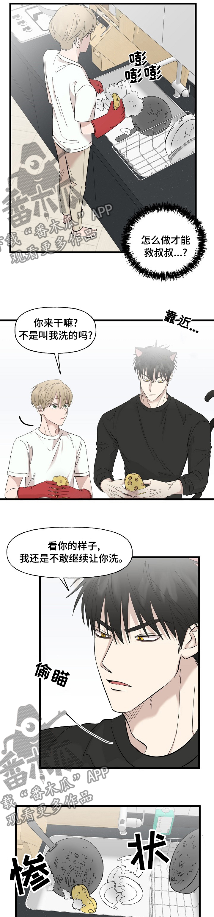 第29章：相册5