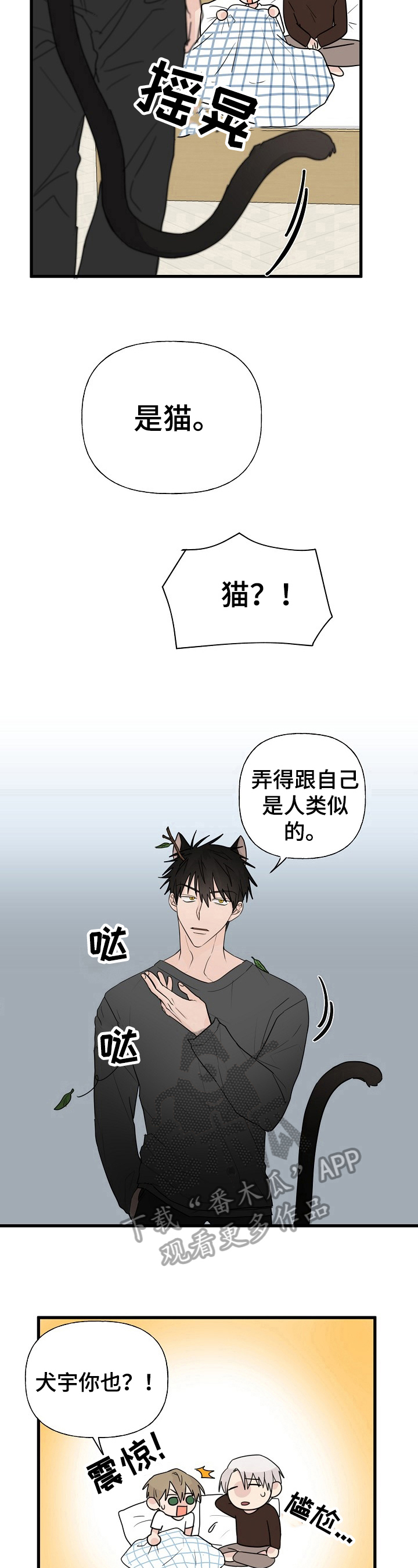 第11章：质问6