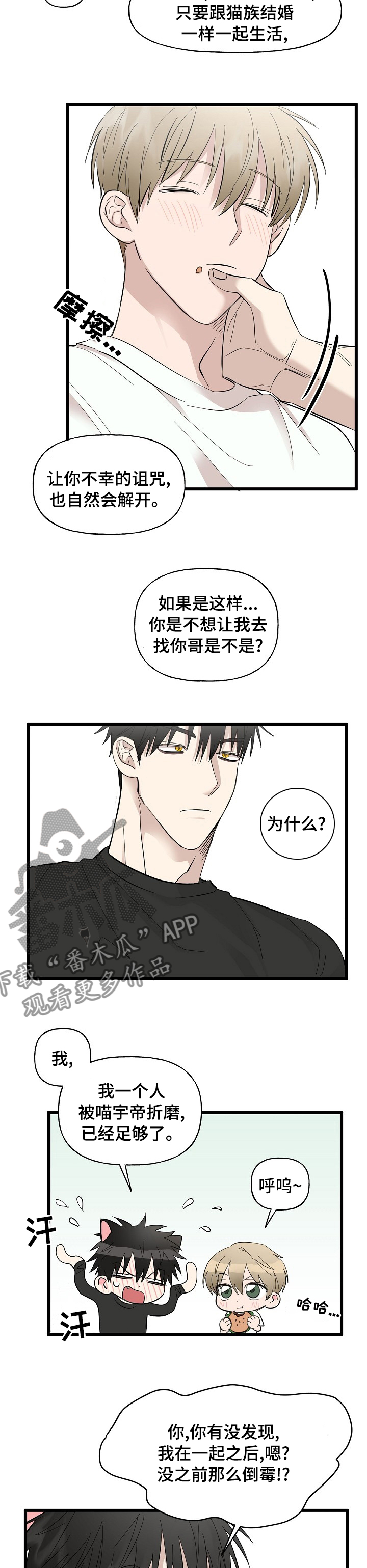 第29章：相册3