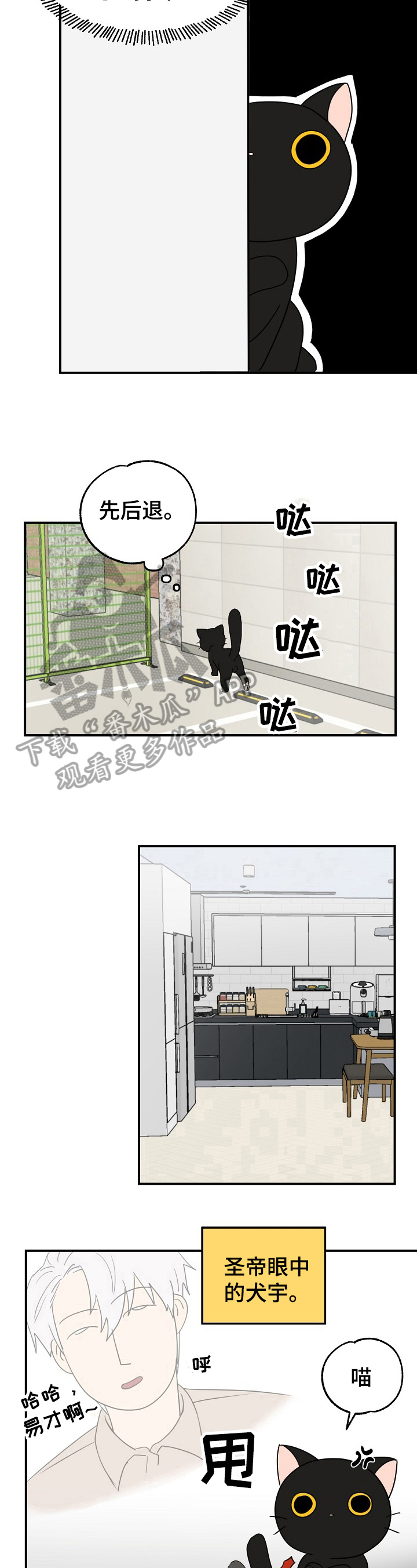 第4章：奇怪6