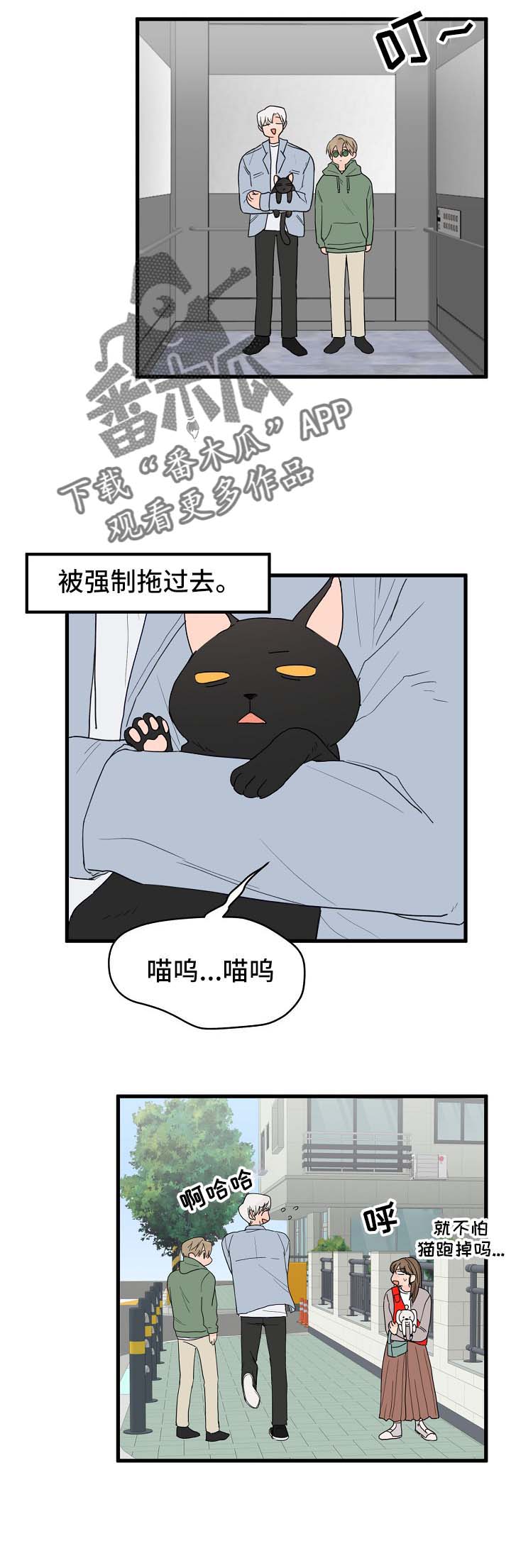 第15章：打击8