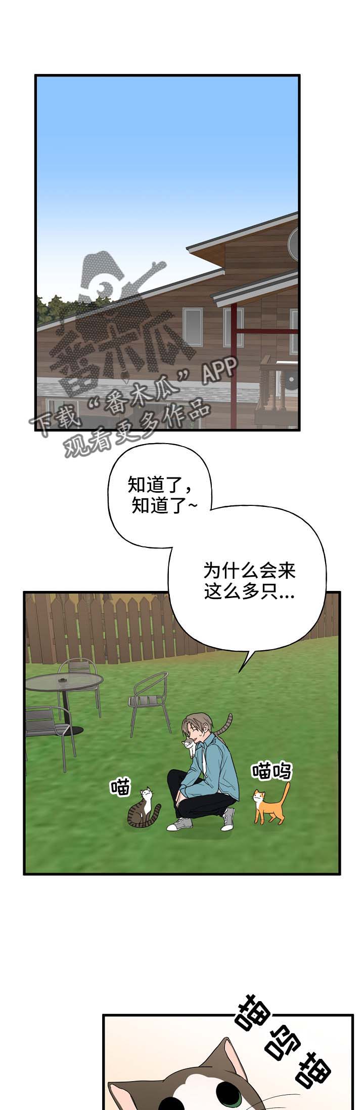 第14章：我行我素8