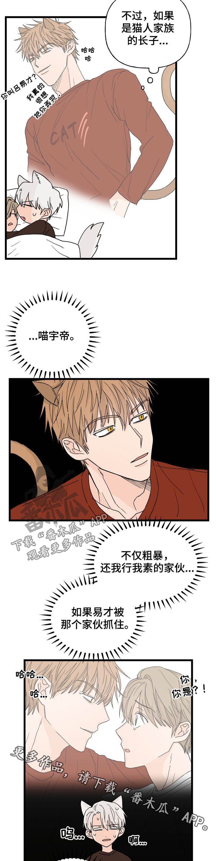 第13章：诅咒11