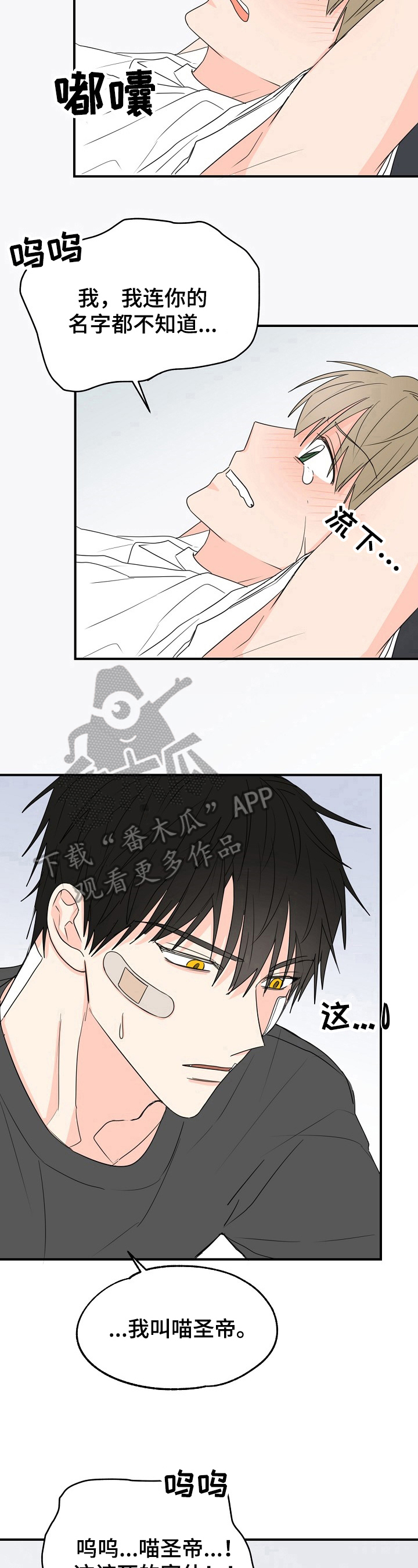 第5章：可爱8
