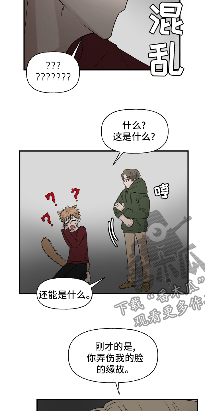 第41章：还没结束15