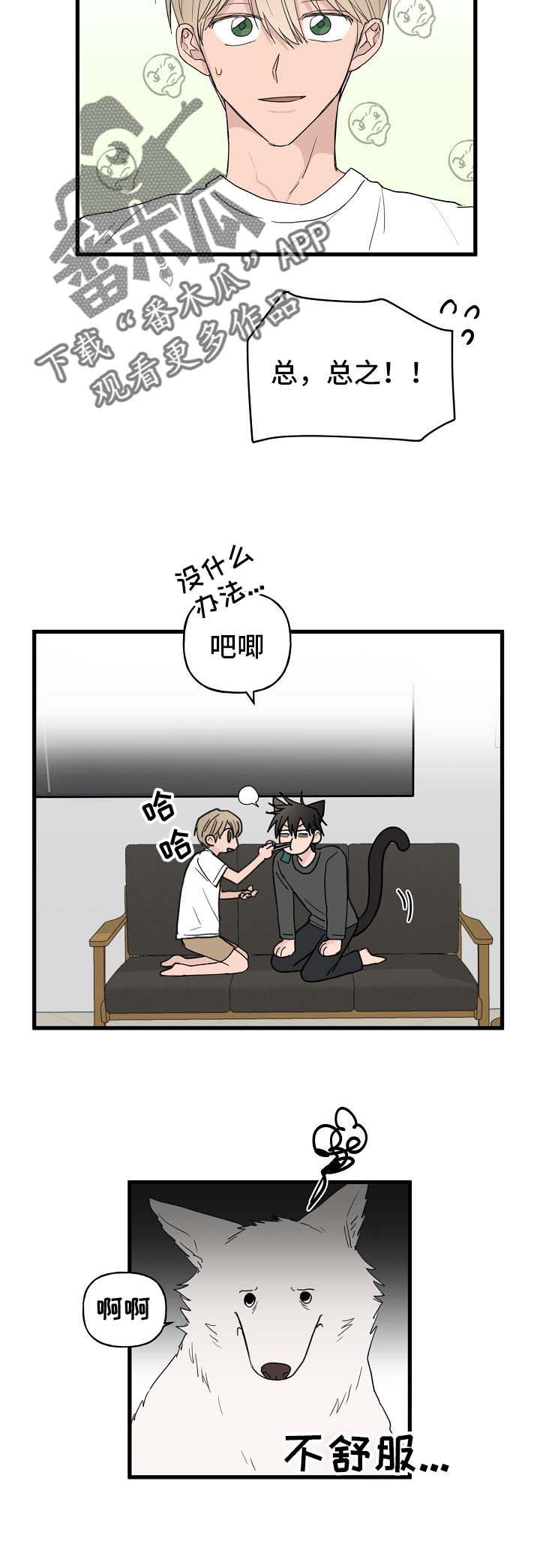 第14章：我行我素6
