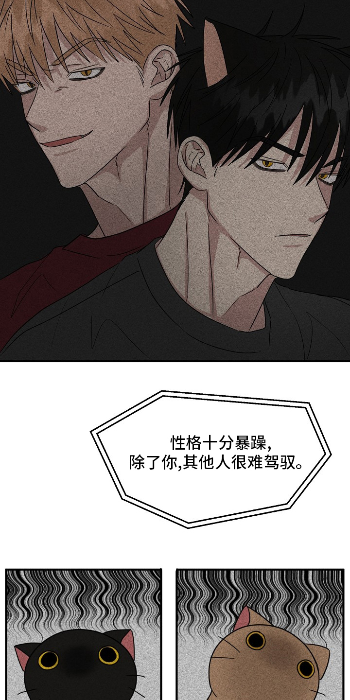 第36章：我来处理8