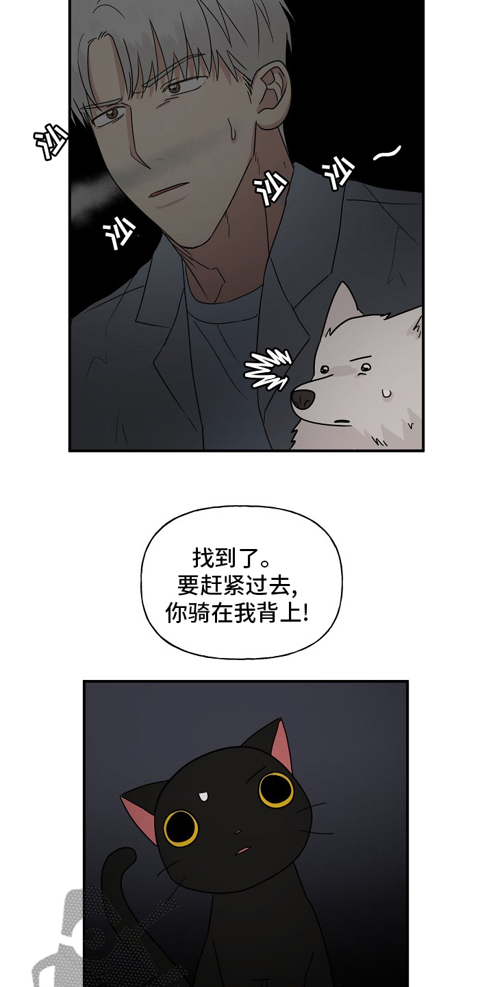 第37章：住手1