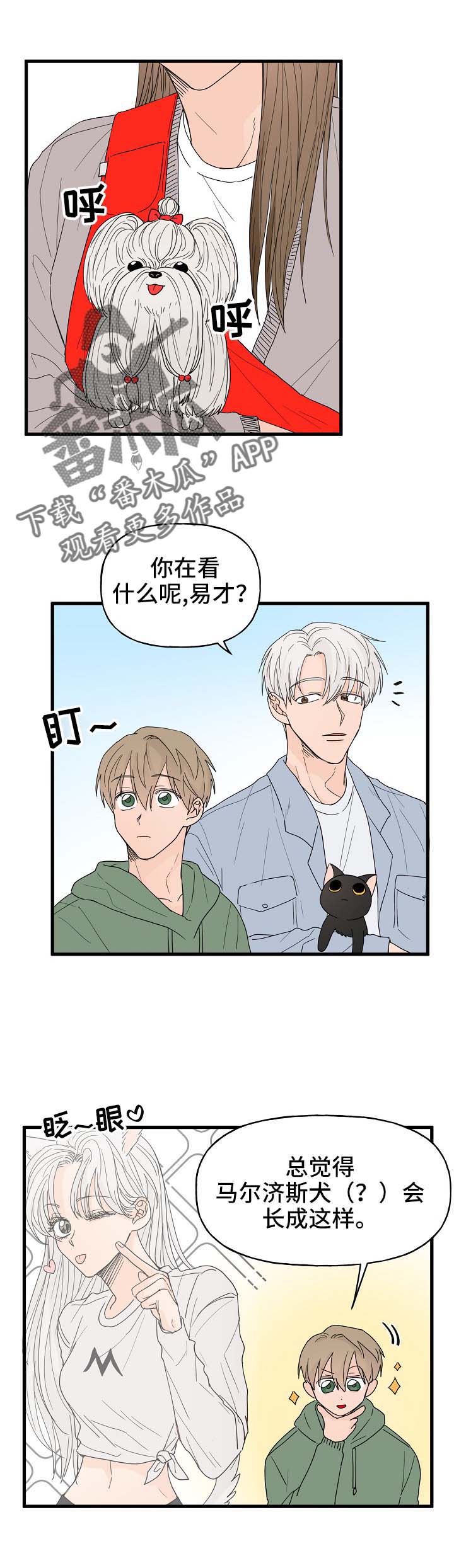 第15章：打击9