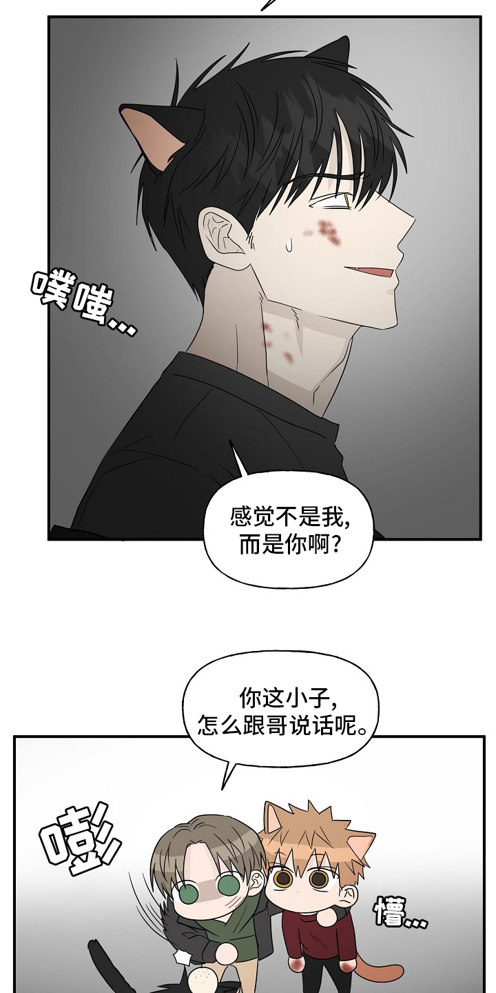 第38章：特殊能力15