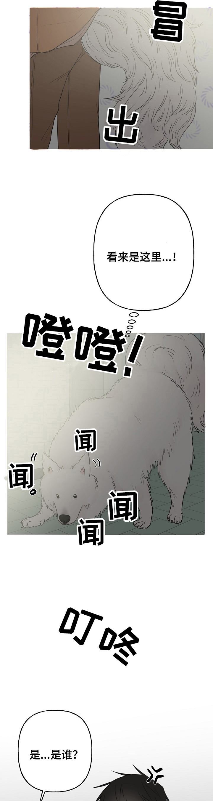 第7章：针对3