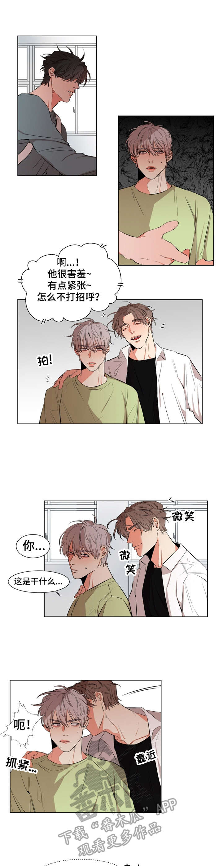 第17章：介绍5