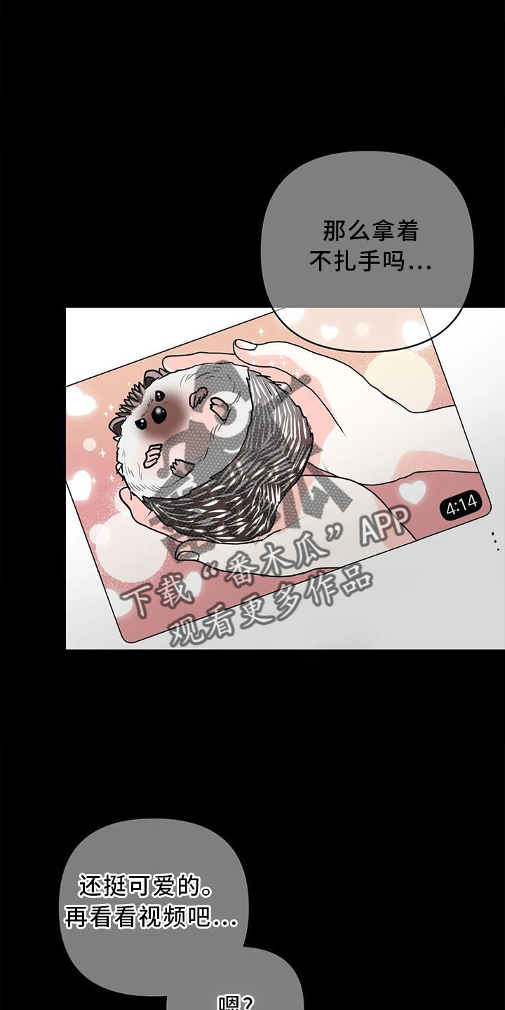 第27章：原因6