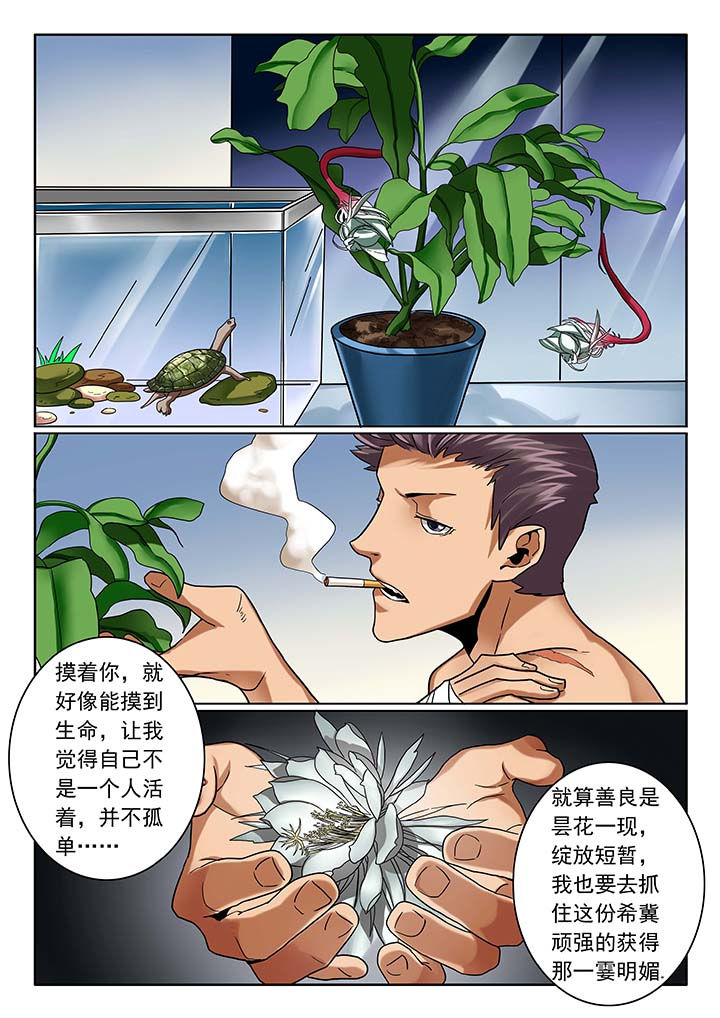 第13章：7