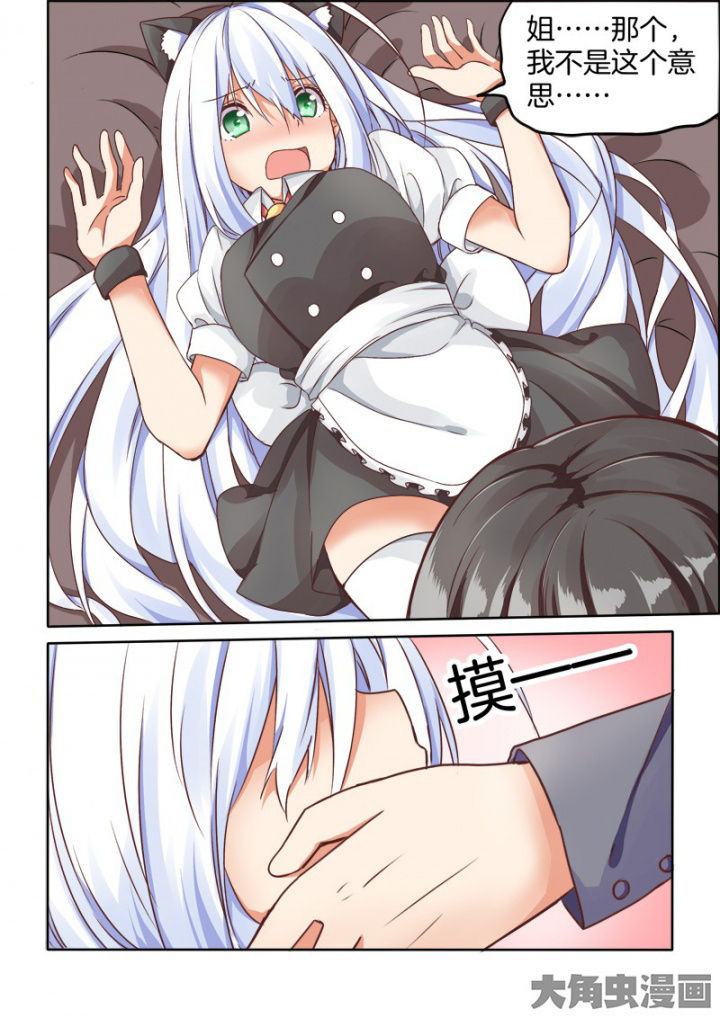 第62章：1