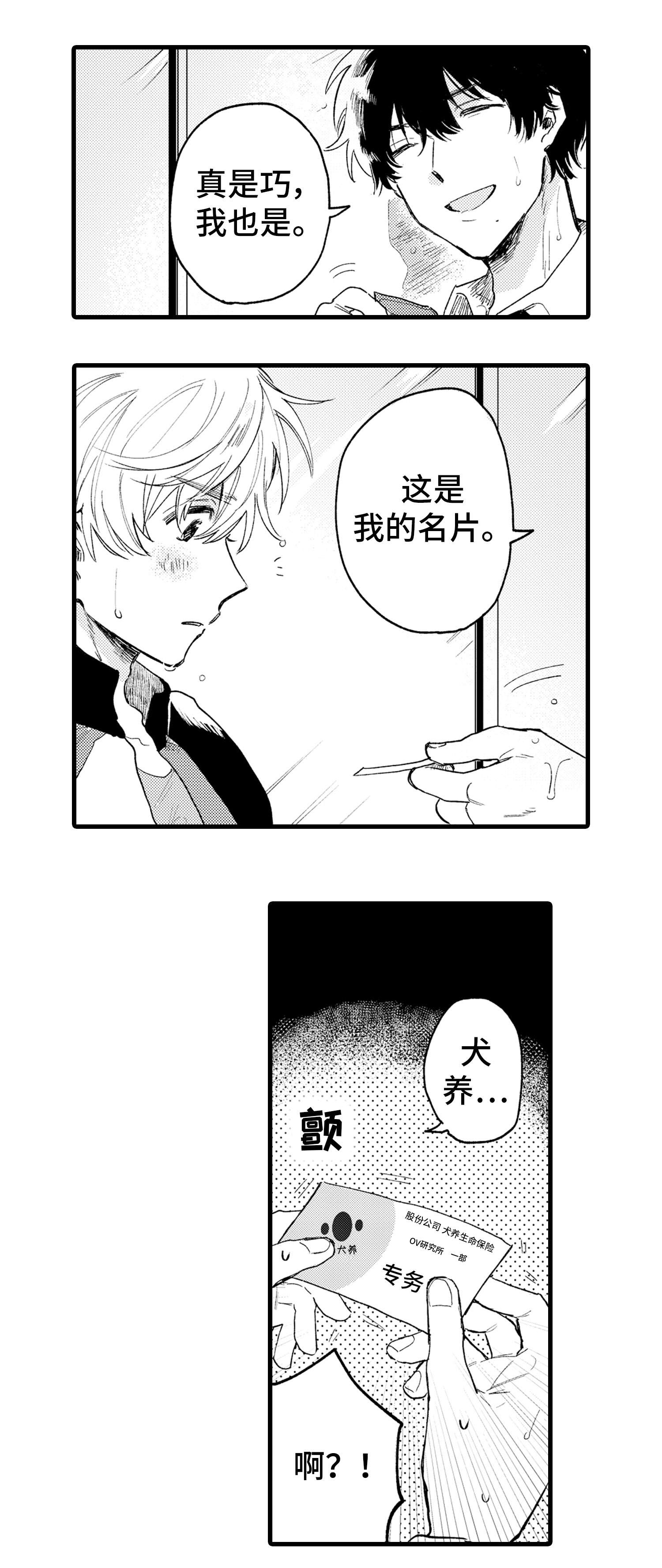 第1章：隐藏6
