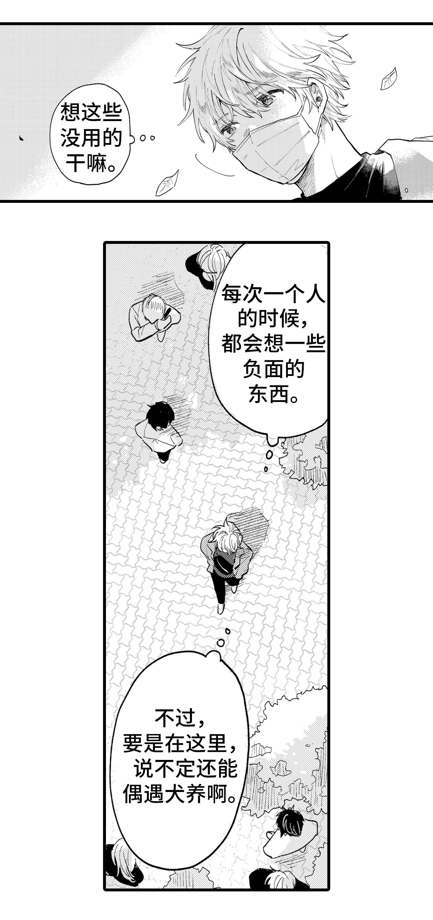 第9章：羡慕9