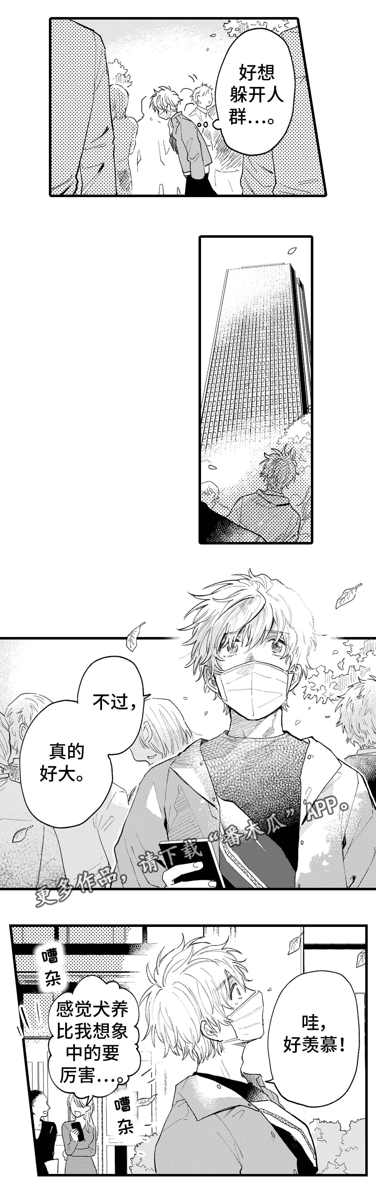 第9章：羡慕7